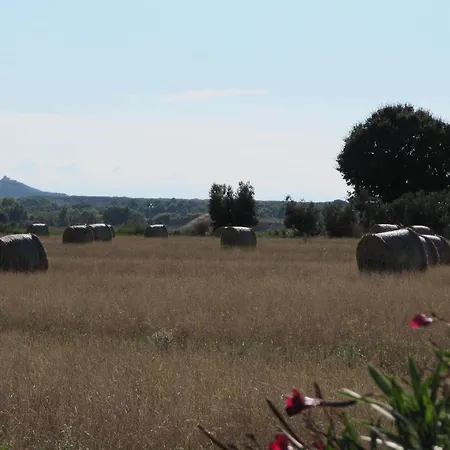 Azienda Agrituristica Allumiere Campiglia Marittima