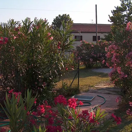 Azienda Agrituristica Allumiere *